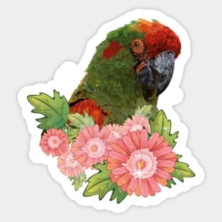 Cochabamba Macaw Sticker